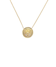 Load image into Gallery viewer, 14k Butterfly Coin Necklace
